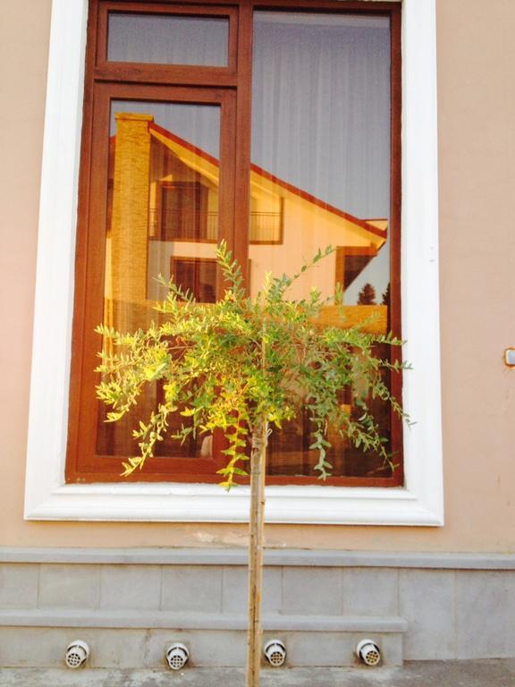 Hotel Salmer Tiflis Exterior foto